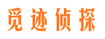 四川市私家侦探公司